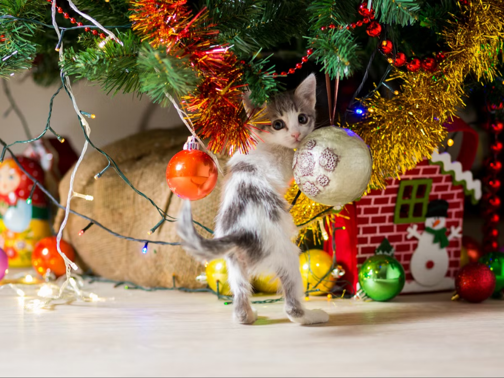 how to stop cat from climbing the Christmas