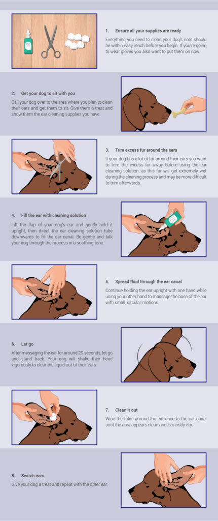CLEANING YOUR DOG’S EARS
